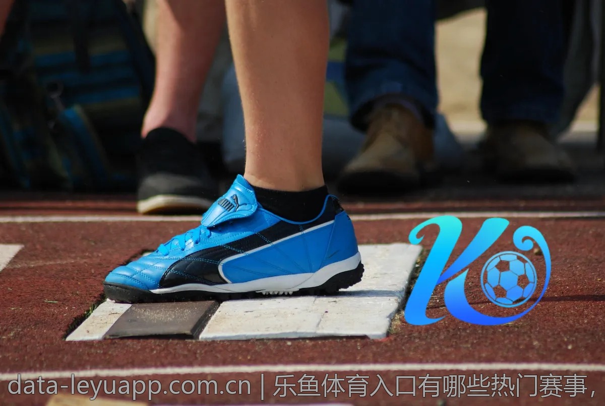 乐鱼体育入口有哪些热门赛事，快来了解！