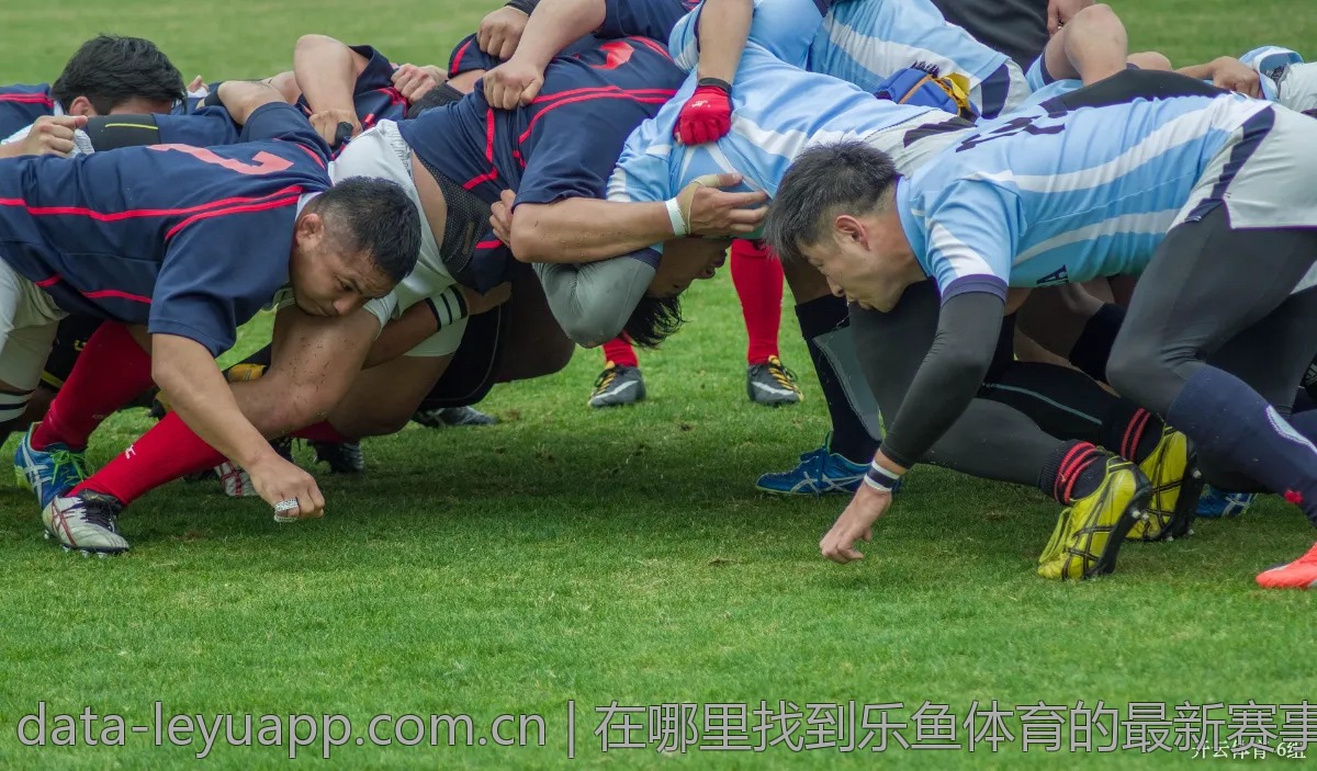 在哪里找到乐鱼体育的最新赛事信息？