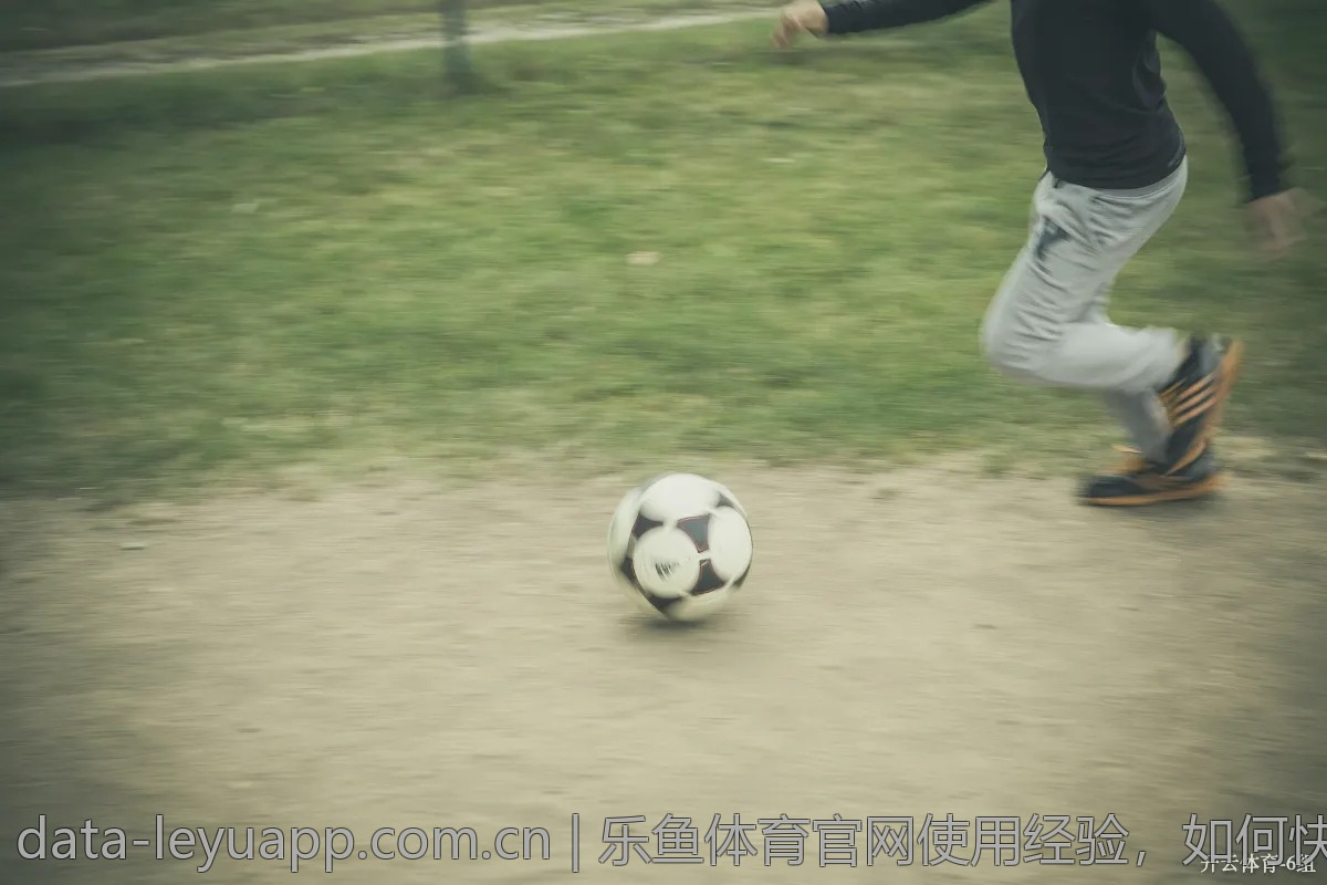 乐鱼体育官网使用经验，如何快速上手！