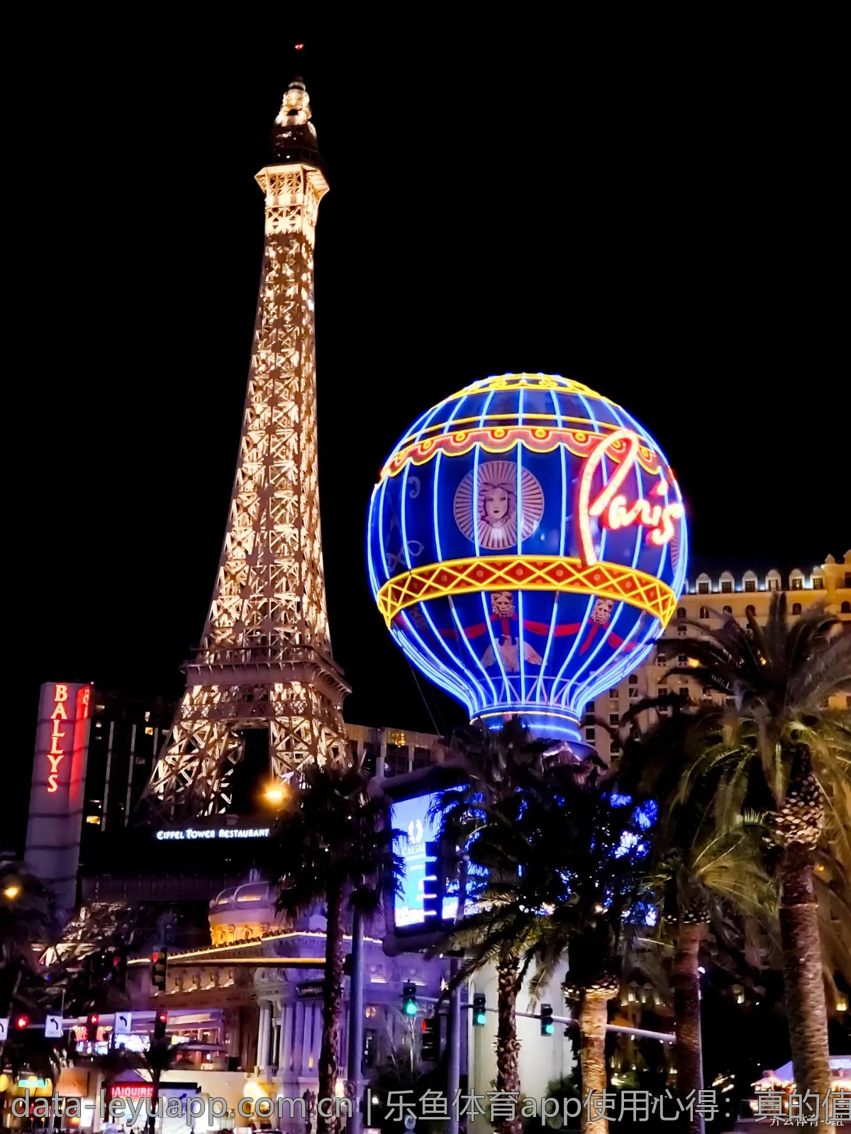乐鱼体育app使用心得：真的值得推荐吗？