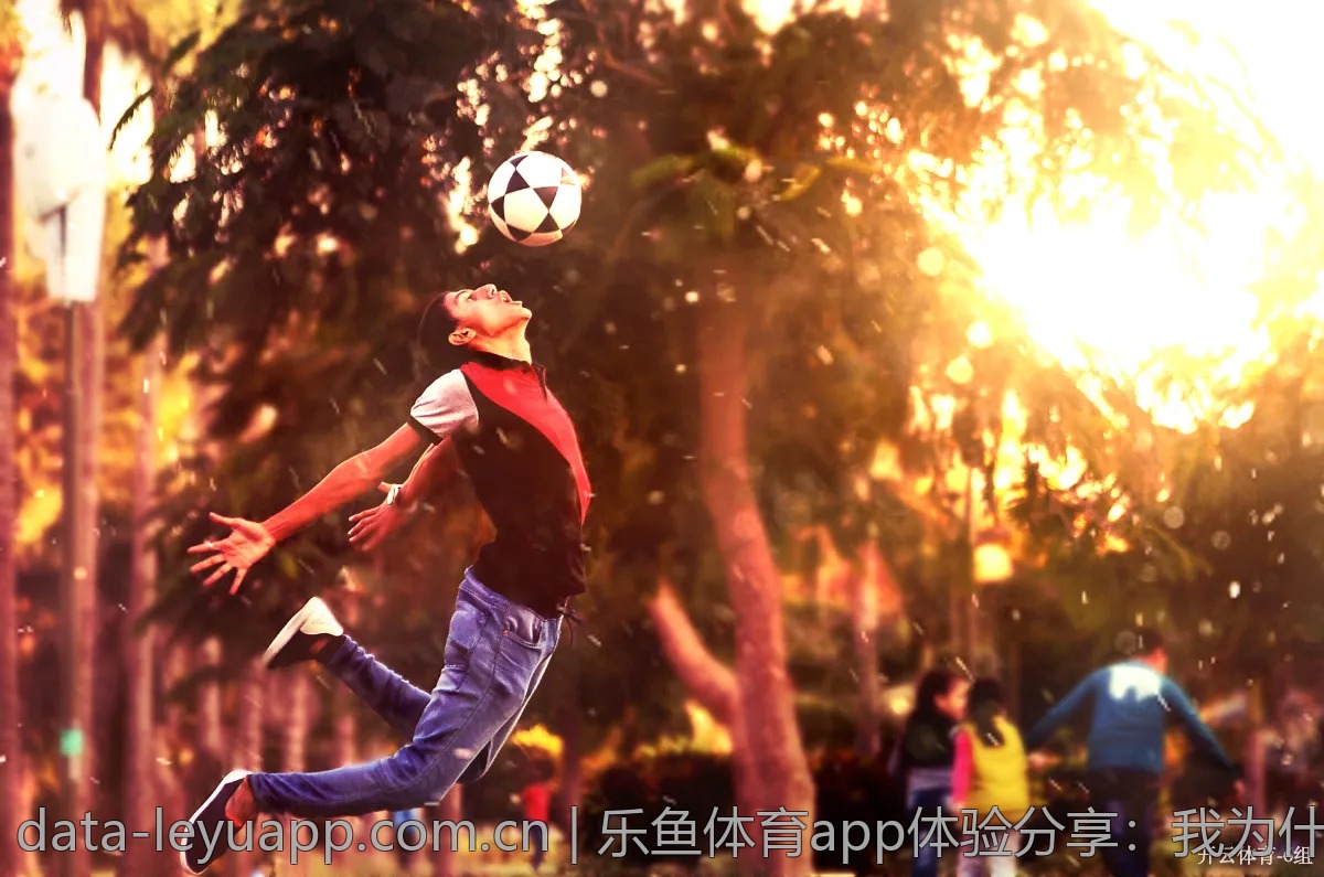 乐鱼体育app体验分享：我为什么爱上它