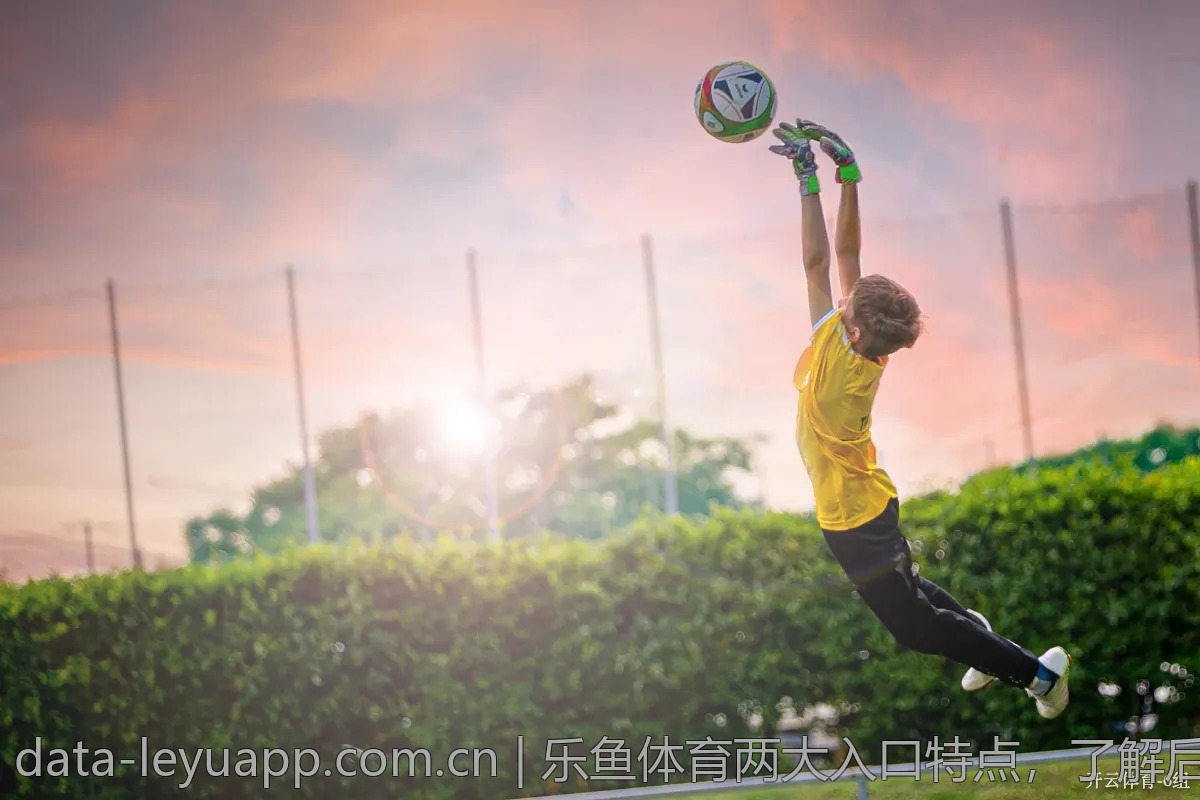 乐鱼体育两大入口特点，了解后再选择