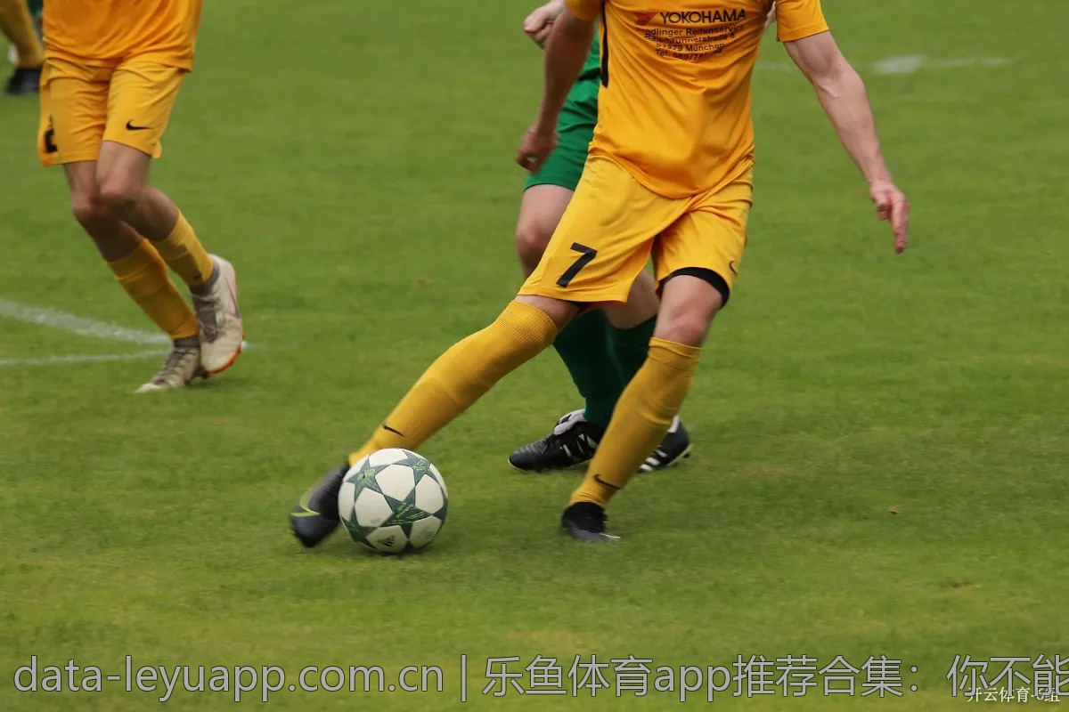 乐鱼体育app推荐合集：你不能错过的功能