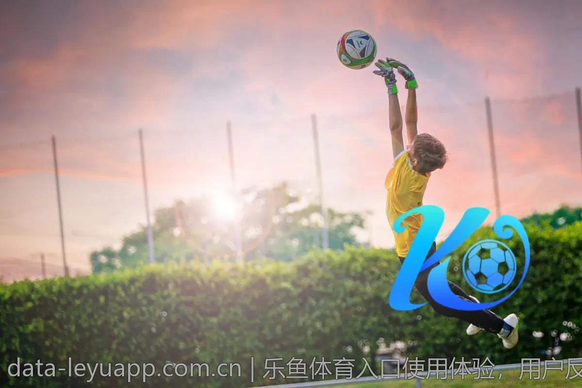 乐鱼体育入口使用体验，用户反馈全记录