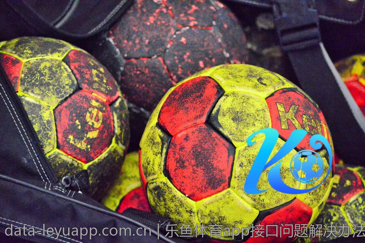 乐鱼体育app接口问题解决办法分享