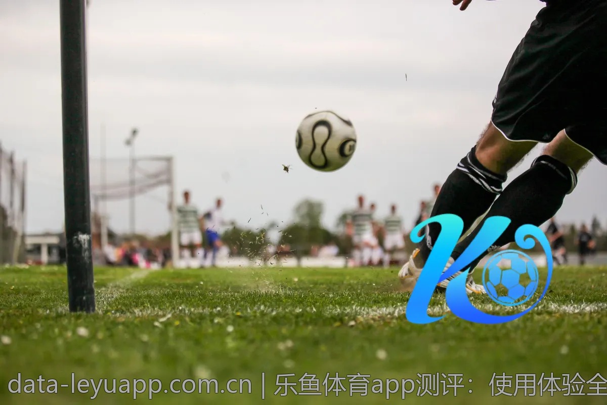 乐鱼体育app测评：使用体验全面分析